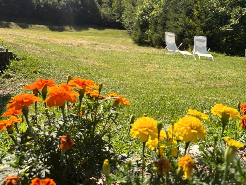 Giardino dello chalet con lettini per il relax