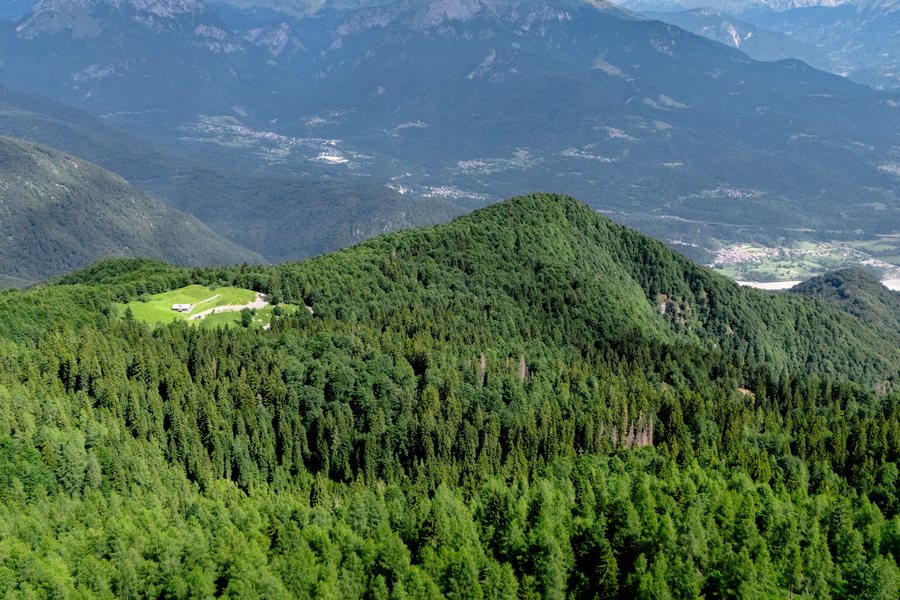 Panorama delle Alpi Carniche, foto di Nemas Gortan